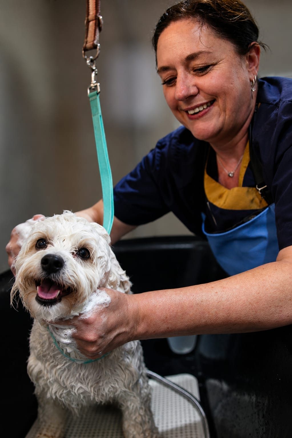 Sally Henwood smiling as she bathes a small white dog in the grooming studio