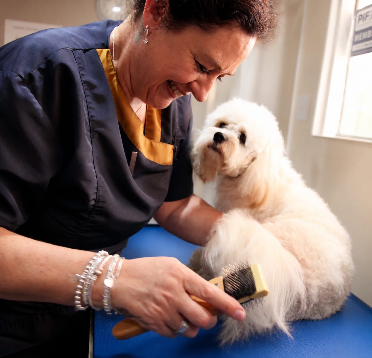 Sally brushing through a small white dog's coat, showing how it is done