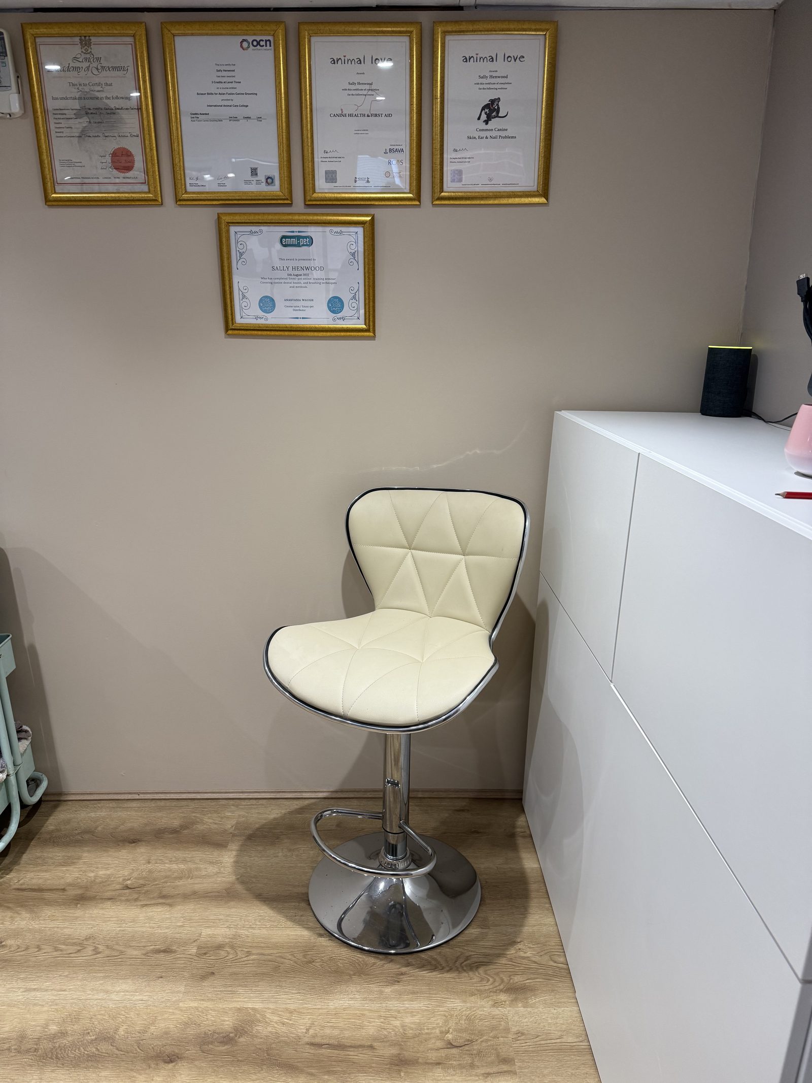 Framed grooming qualifications and certificates on the studio wall
